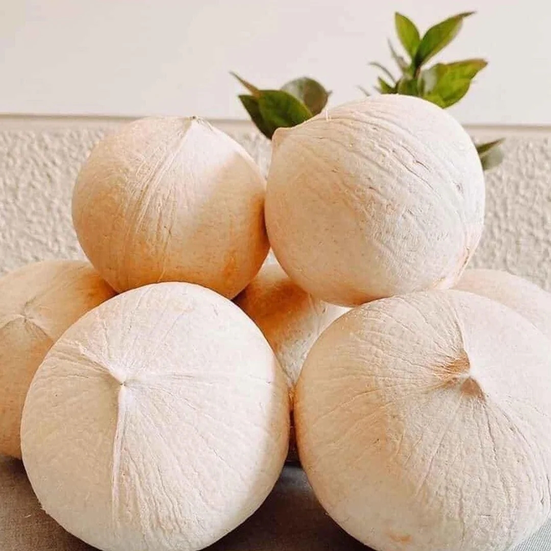 SHEARED SIEMEN COCONUT - A FOLK DRINK WITH A MODERN STYLE