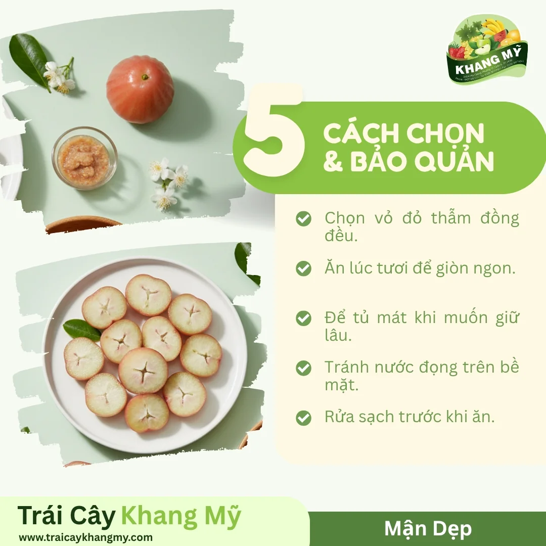 Mận Dẹp 4