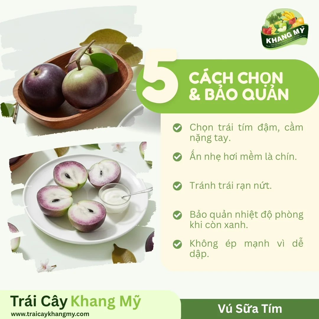 Vú Sữa Tím 4