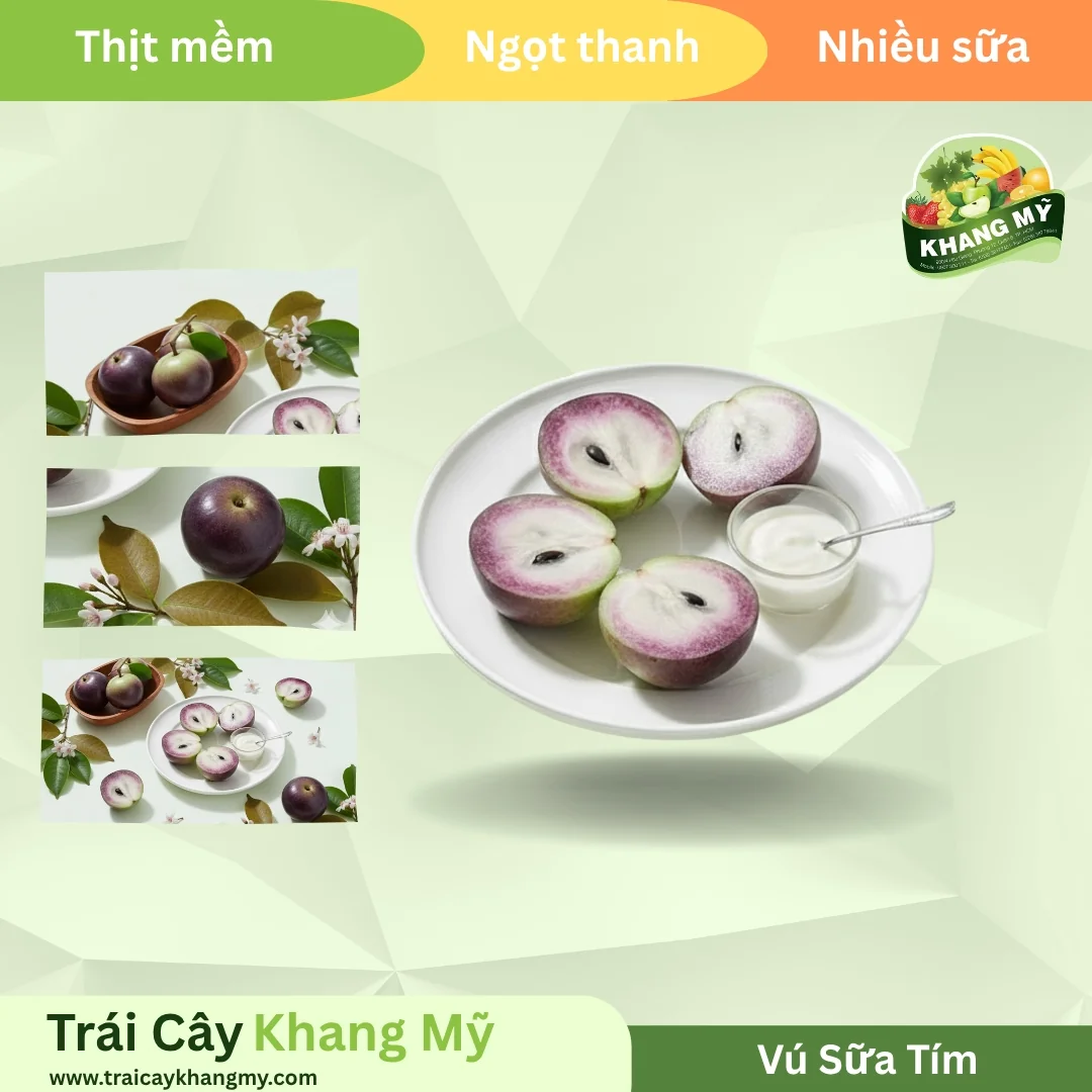 Vú Sữa Tím 2