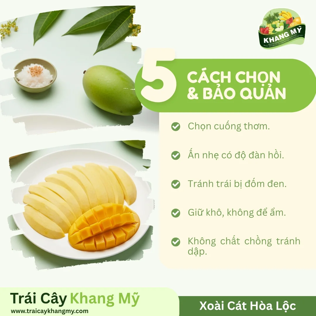 Xoài Cát Hòa Lộc 4
