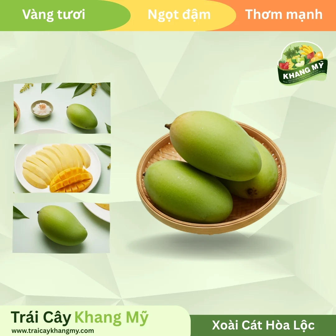 Xoài Cát Hòa Lộc 2
