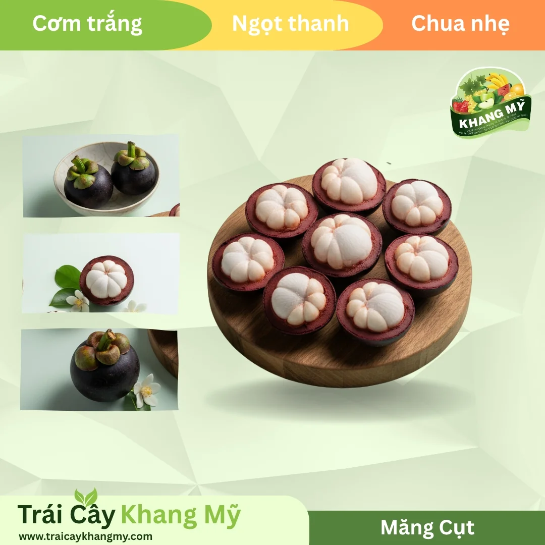 Mangosteen 2