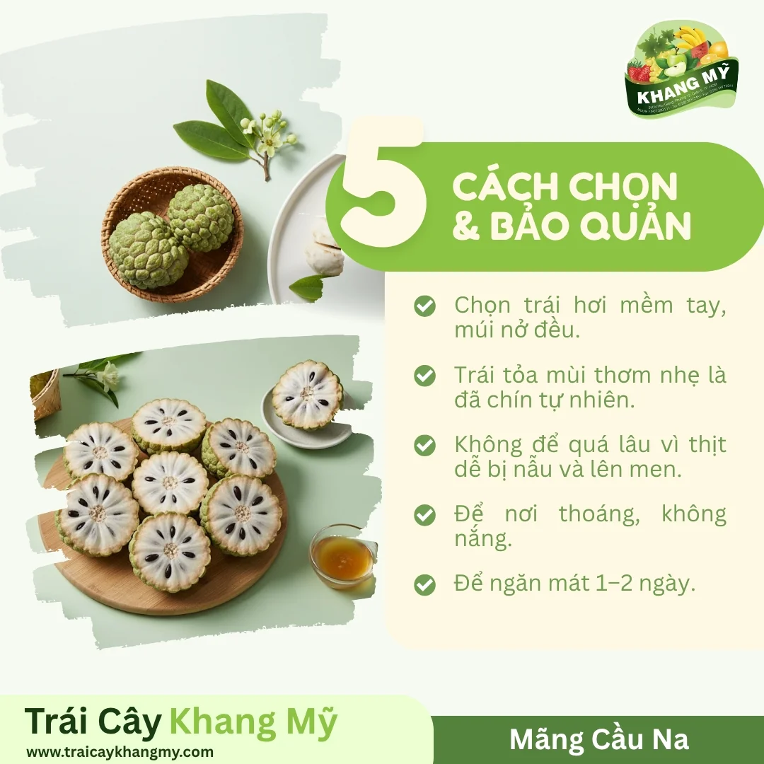 Mãng Cầu Na 4