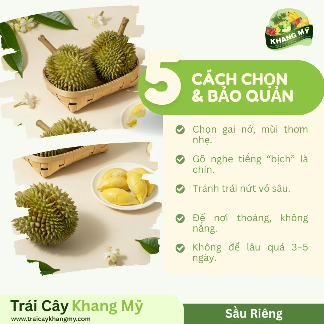 Sầu Riêng 4