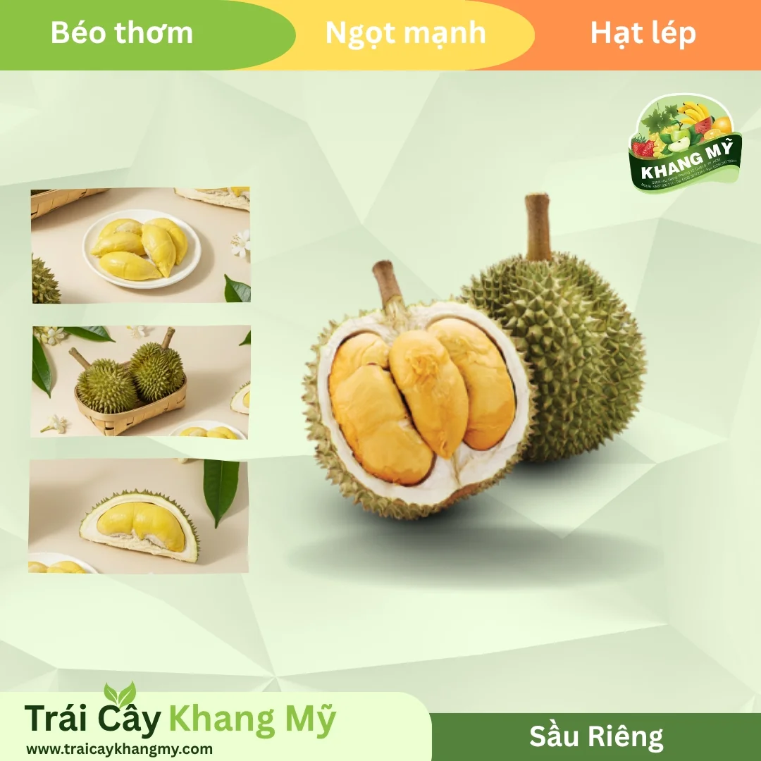 Sầu Riêng 2